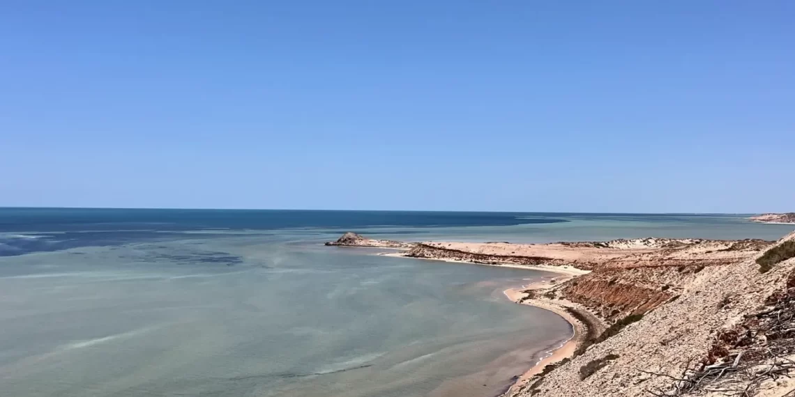 Shark Bay UNESCO Marine Wonderland