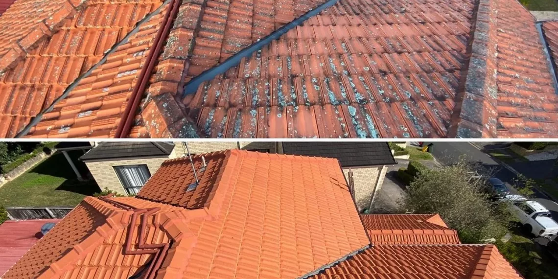 How Often Should You Clean Your Roof, Essential Tips Inside.