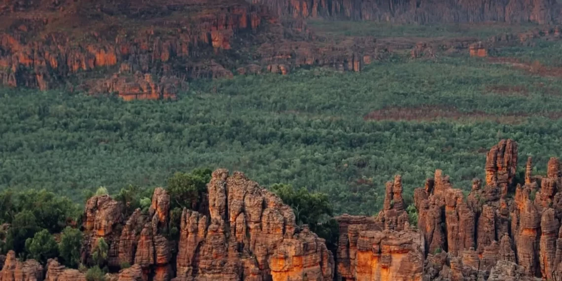 Kakadu National Park rainforest