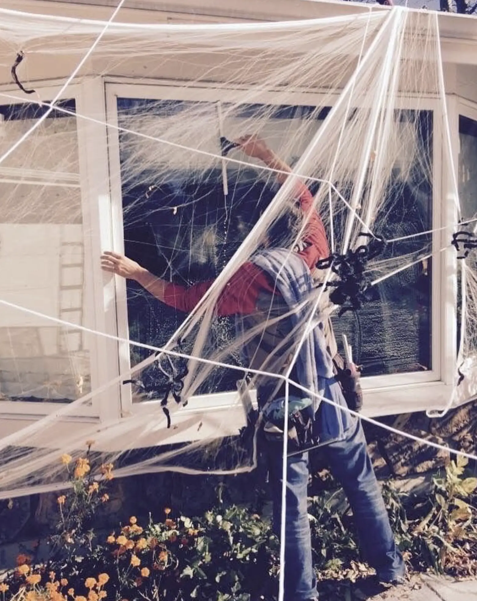 residential window cleaning Melbourne