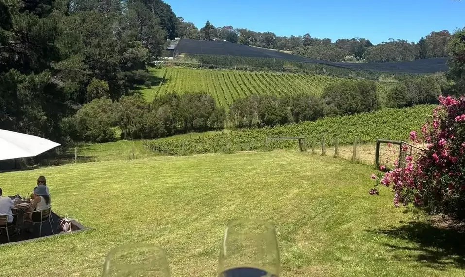 Yarra vs Mornington Wine Tours Value